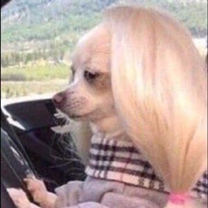 Meet your Posher, Mel